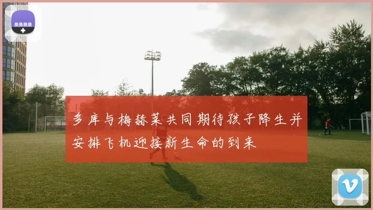 多库与梅赫莱共同期待孩子降生并安排飞机迎接新生命的到来